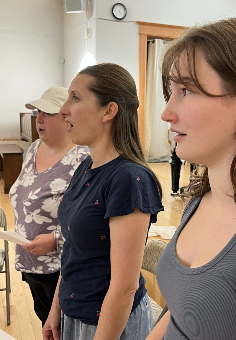 HUM Women's Chorus Group